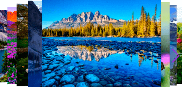 Swiper Website Slider