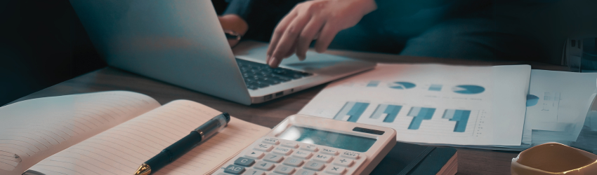 displaying large datasets in wordpress tables